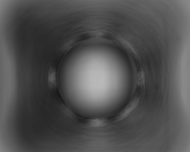 X0000101100238200806261519