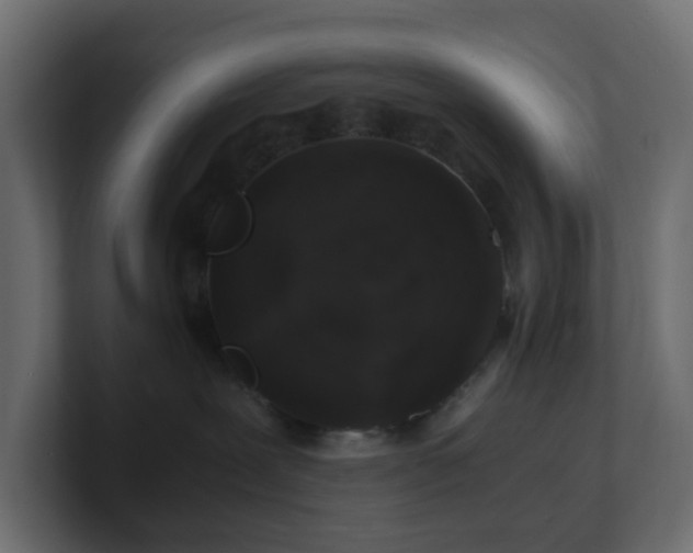 X0000101100239200806261519
