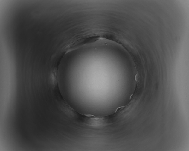 X0000101100240200806261519