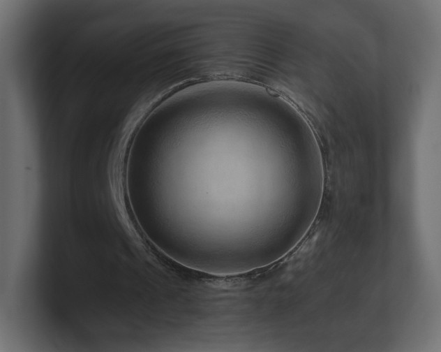 X0000101100241200806261518