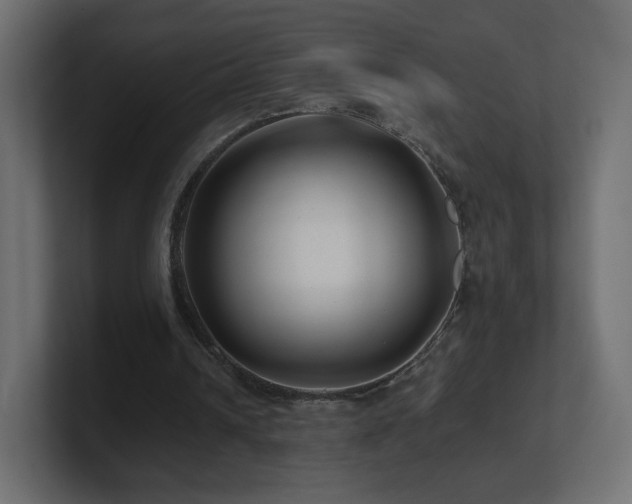 X0000101100242200806261518