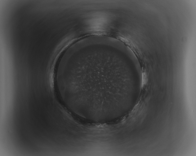 X0000101100243200806261518