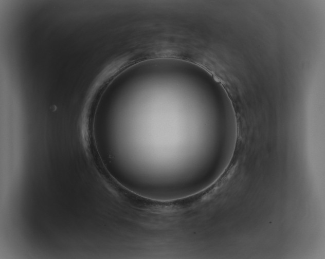 X0000101100245200806261518