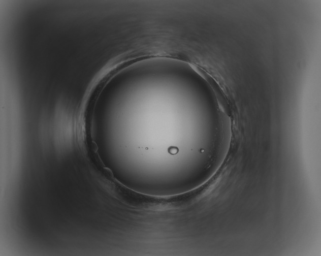 X0000101100246200806261518