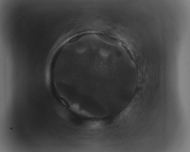 X0000101100247200806261518