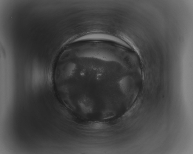 X0000101100249200806261518