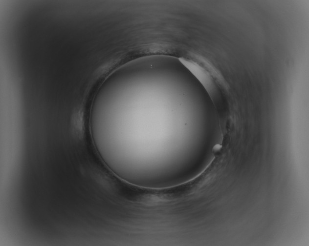 X0000101100250200806261518