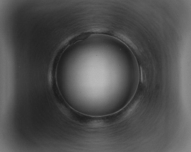 X0000101100252200806261518