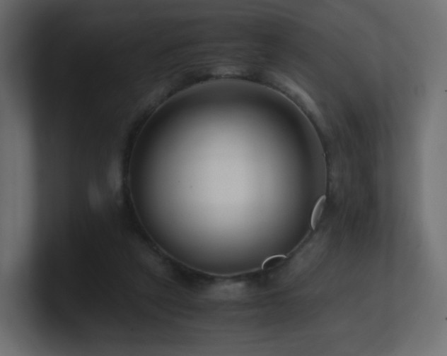X0000101100257200806261518