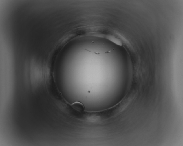 X0000101100258200806261518