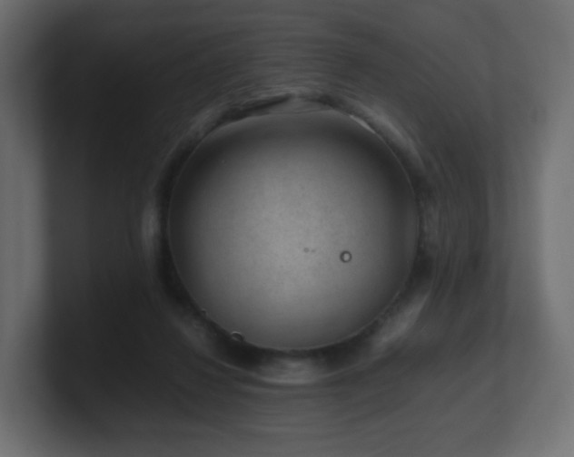X0000101100260200806261518