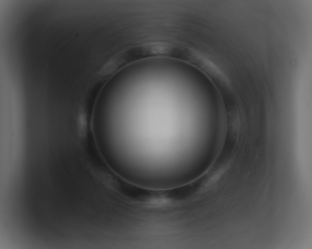 X0000101100262200806261518