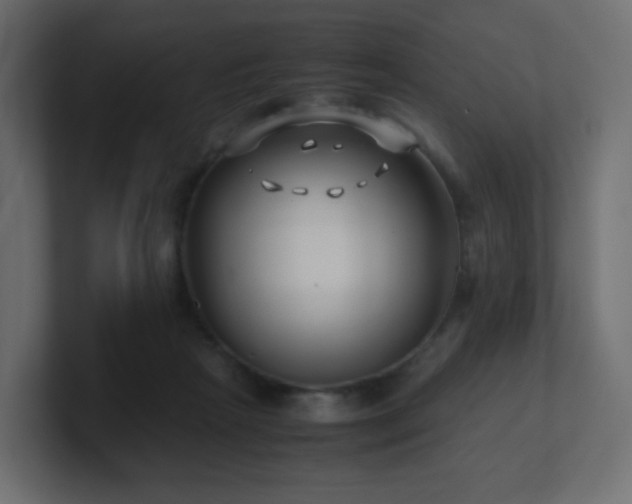 X0000101100265200806261519