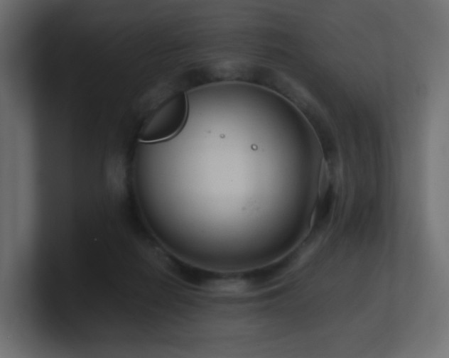 X0000101100266200806261519