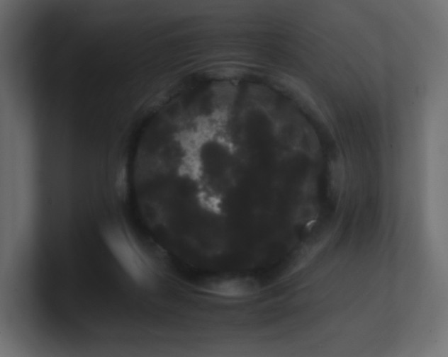 X0000101100267200806261519