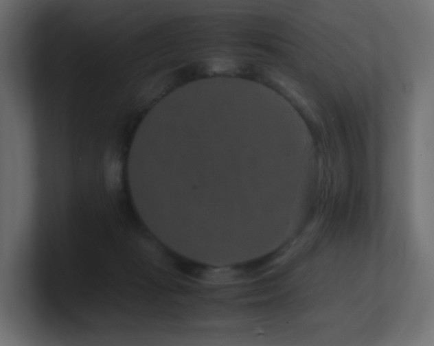 X0000101100269200806261519