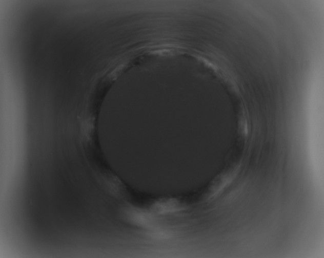 X0000101100271200806261519