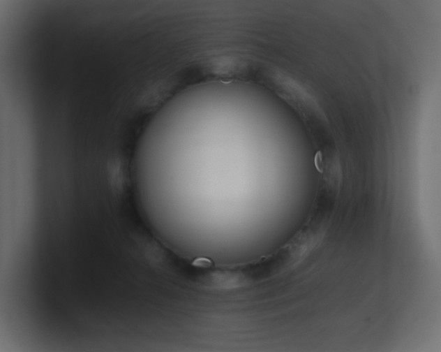 X0000101100272200806261519