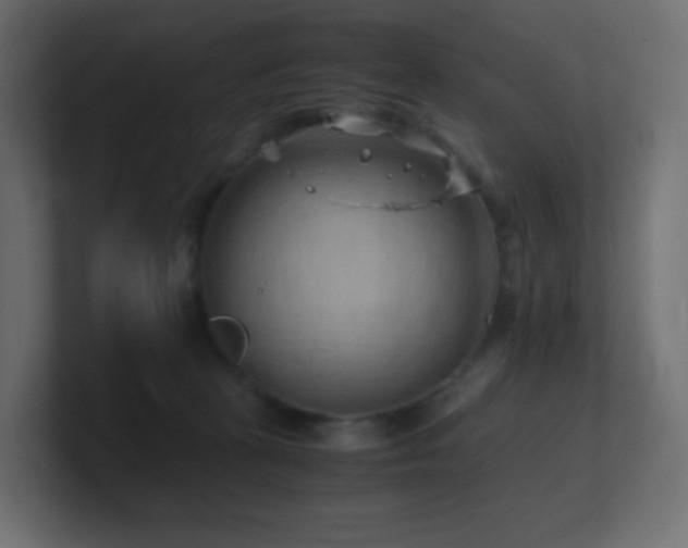 X0000101100273200806261519