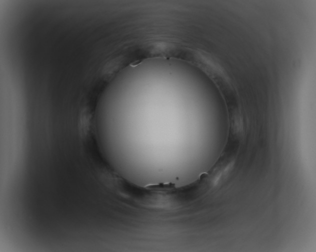 X0000101100276200806261519