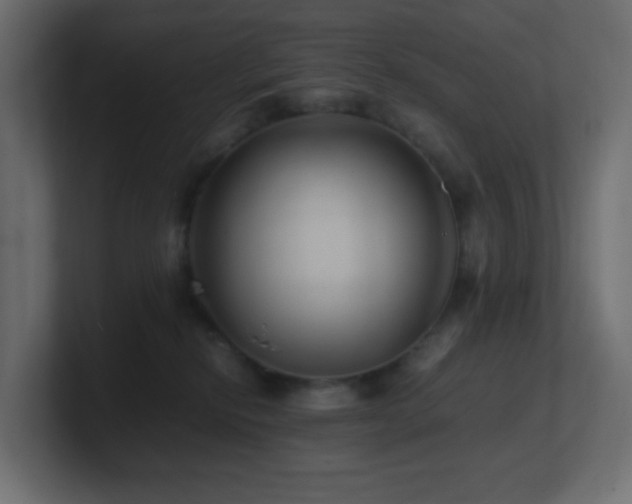 X0000101100278200806261519