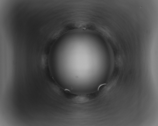 X0000101100280200806261519