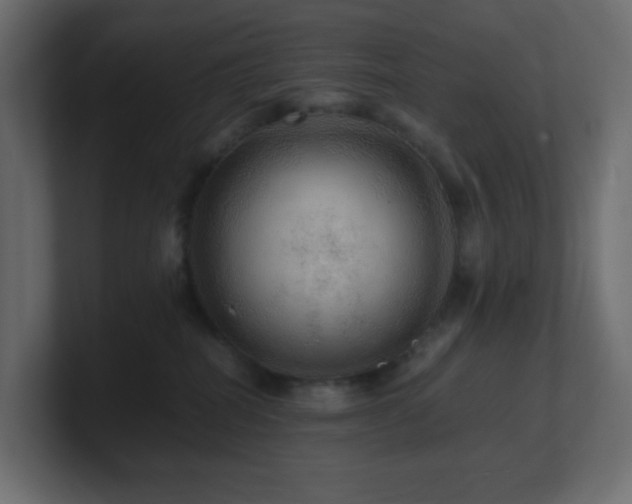 X0000101100282200806261519