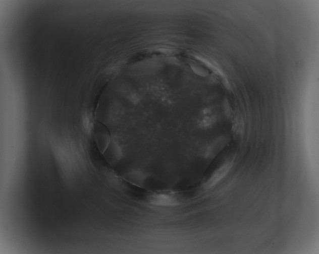 X0000101100285200806261519
