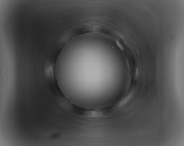 X0000101100286200806261519