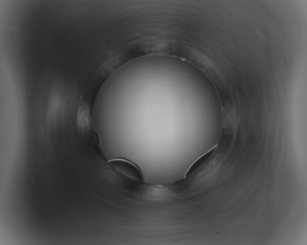 X0000101100287200806261519