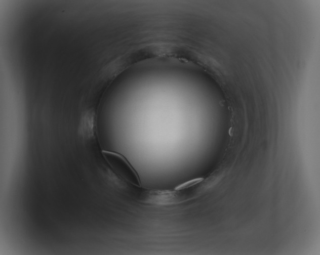 X0000101100288200806261519