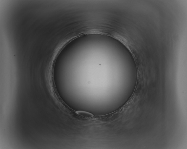 X0000101100289200806261518