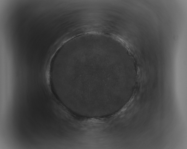 X0000101100290200806261518
