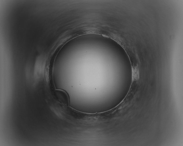 X0000101100291200806261518