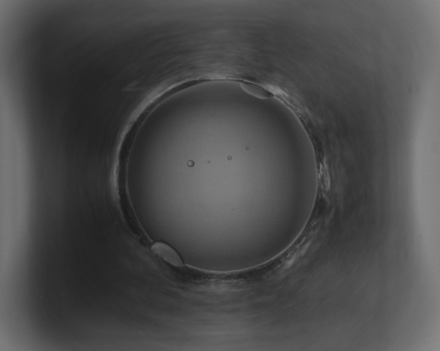 X0000101100292200806261518