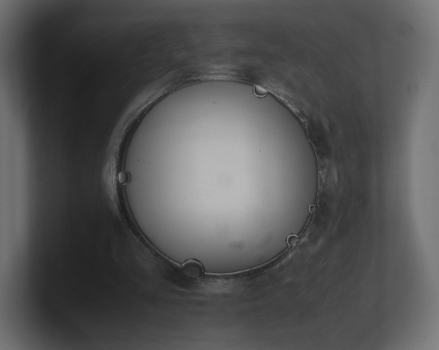 X0000101100293200806261518