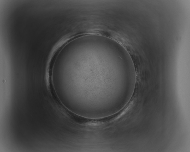 X0000101100294200806261518