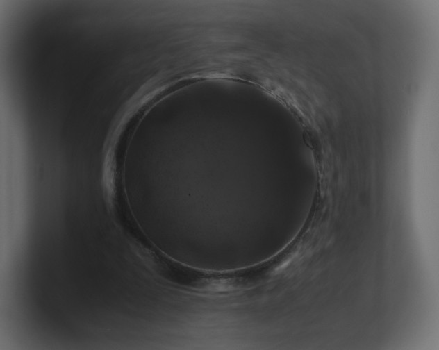 X0000101100295200806261518