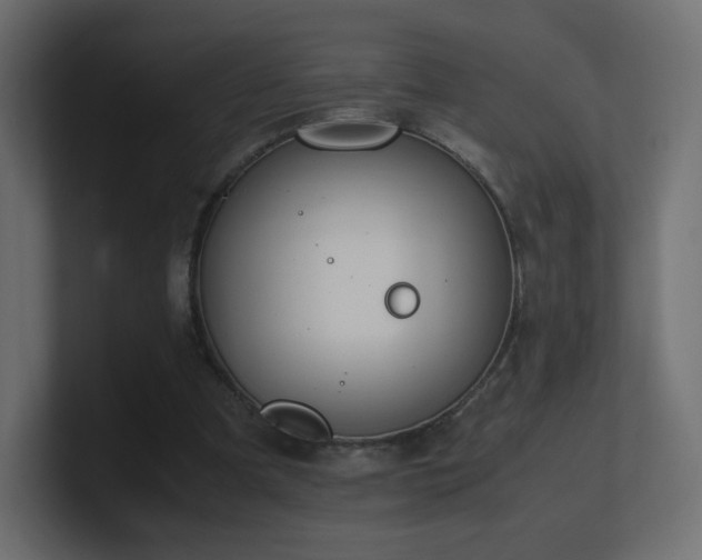 X0000101100297200806261518