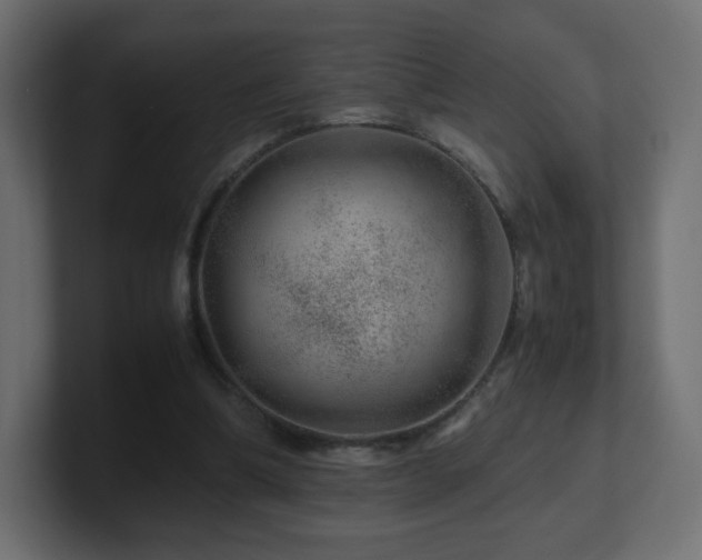 X0000101100298200806261518