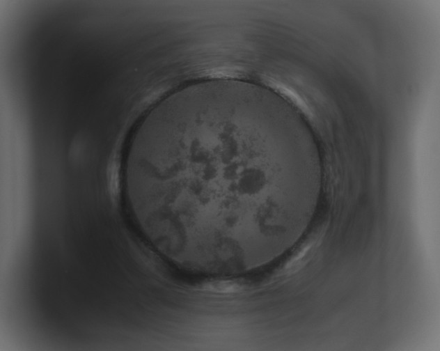 X0000101100299200806261518