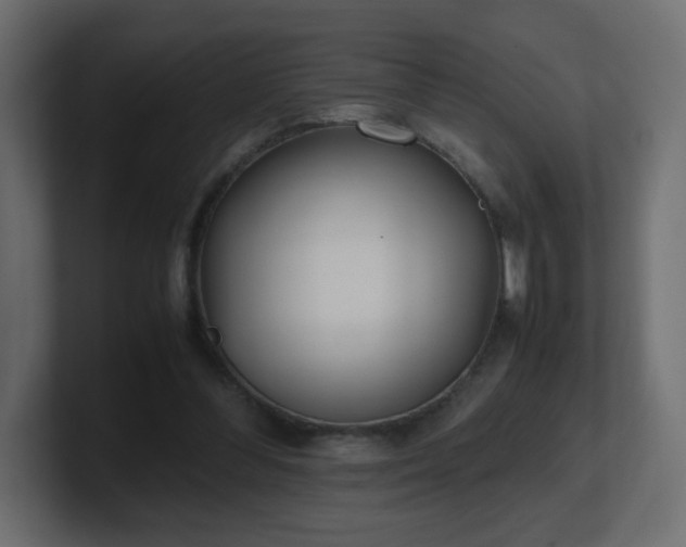 X0000101100300200806261518
