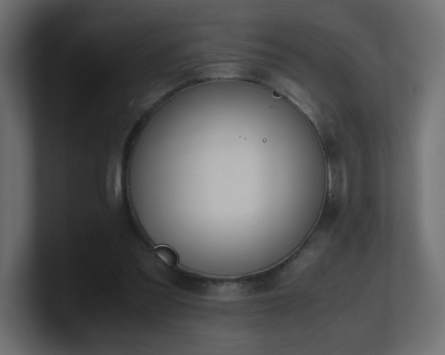 X0000101100301200806261518