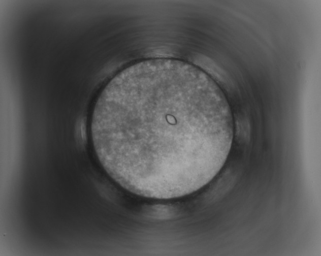 X0000101100302200806261518