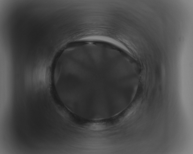 X0000101100303200806261518