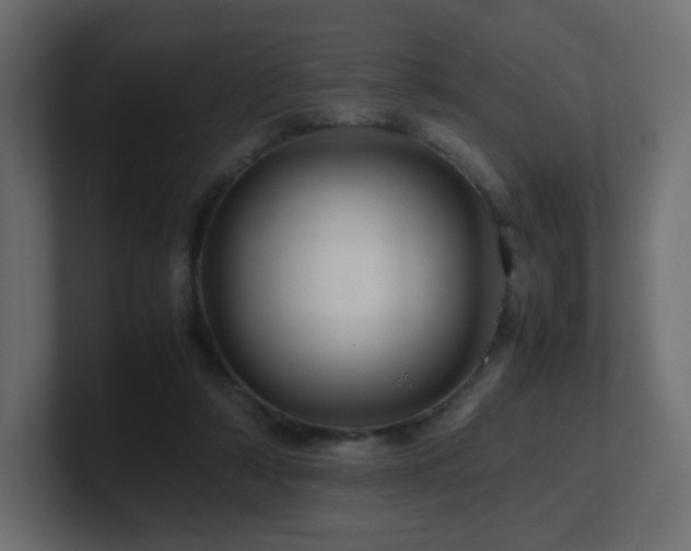 X0000101100306200806261518