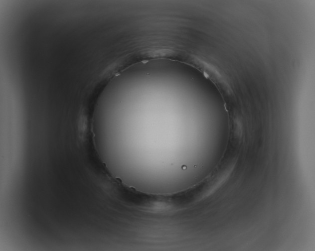 X0000101100308200806261518