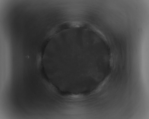 X0000101100314200806261518