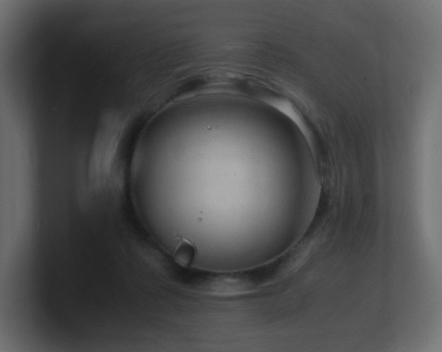X0000101100315200806261518