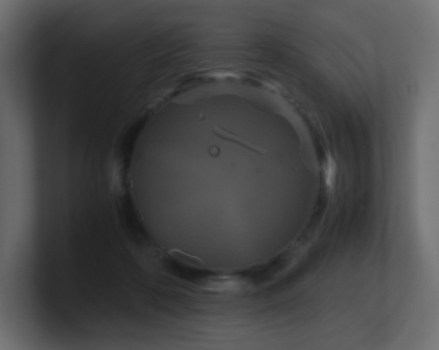 X0000101100316200806261518